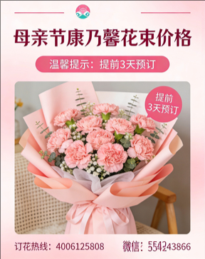 乐山五通桥区花店母亲节康乃馨花束