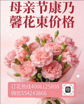 乐山五通桥区花店母亲节康乃馨花束